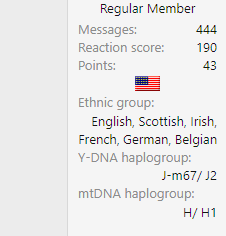 1706318400496.png