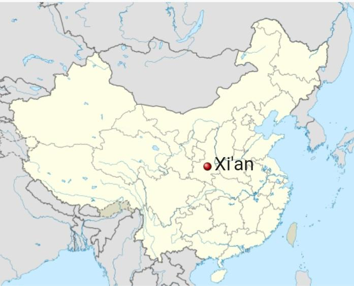 1732209163169.png