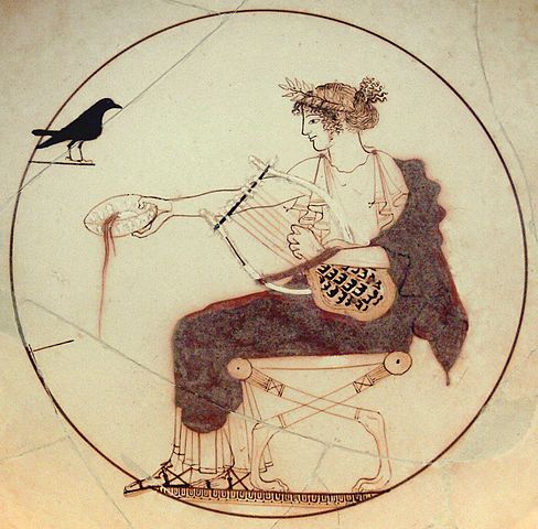 488px-Apollo_black_bird_AM_Delphi_8140.jpg