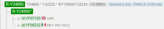 4RY24895 tmrca 3700.png