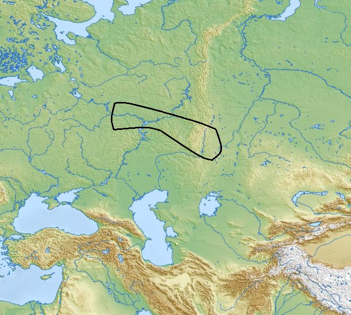 5.jpg