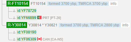 5RY30815 tmrca 3700.png