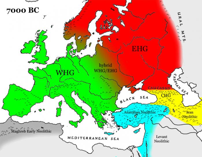 A7000-BC-gene-map-s.jpg
