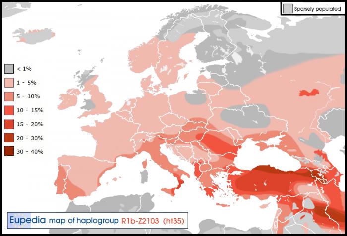 Haplogroup-R1b-Z2103.jpg
