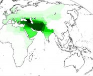 west asian aust. DNA.jpg