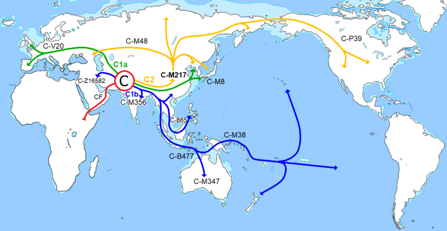 Haplogroup_C_(Y-DNA)_2017.png