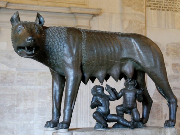 Capitoline_she-wolf_Musei_Capitolini_MC1181.jpg