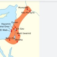 kingdavid