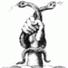 Bardhyl