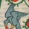 Falco