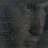 jovial_jon