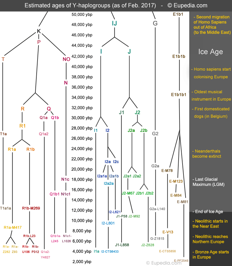 Sviluppo cronologico dei principali aplogruppi DNA-Y dell�Eurasia occidentale dal tardo Paleolitico all�et� del ferro