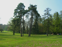 замок Монсе-сюр-Самбр, Шарлеруа